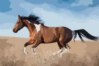 1990年属马人在2026年事业运势如何 1990年属马人在2026年事业运势如何