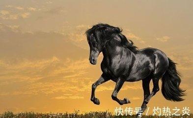 1978年属马2025年运势及运程