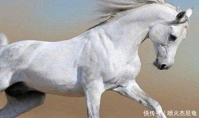 1991年11月14日上午9-11点出生性格、运势和命运 1991年11月14日上午9-11点出生性格、运势和命运