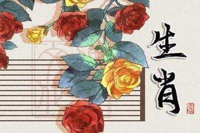 2025年2月生肖猪的运势精华版