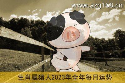 2025年2月生肖猪的运势精华版