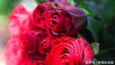 2000年属龙桃花年是哪一年 什么时候遇到爱情