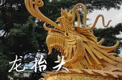 2025年3月11日生日命运及性格
