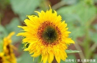 2001年10月21日中午11-13点出生性格、运势和命运