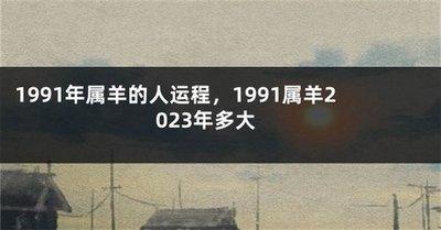1991年出生的人进入2025年之后运势如何