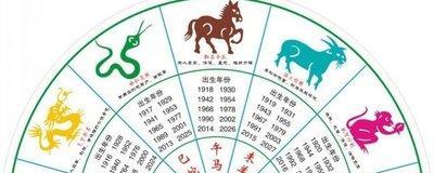 1991年出生的人进入2025年之后运势如何
