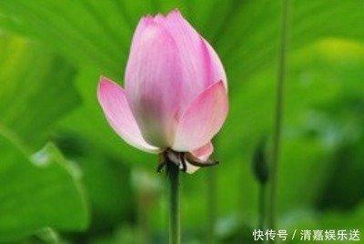 2001年12月10日下午13-15点出生性格、运势和命运