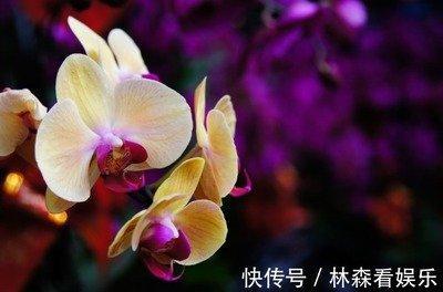 2001年12月19日晚上21-23点出生性格、运势和命运