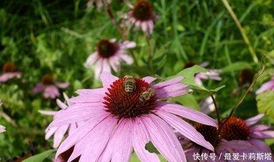 2001年属蛇是什么命 01年属蛇人会幸福吗