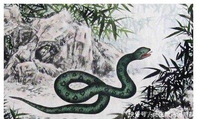 2001年属蛇的最佳配偶 属蛇人与哪些生肖配
