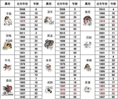 2001生肖五行属什么生肖 2001生肖命运如何