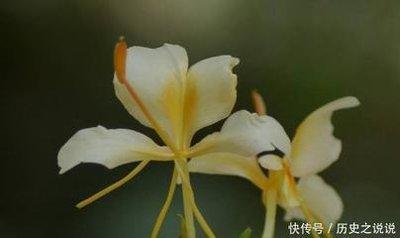 2002年10月30日晚上21-23点出生性格、运势和命运