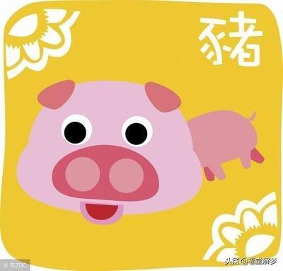 1983年出生的属猪人2025年本命年运势如何