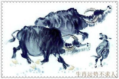 1979年1月14日下午15-17点出生性格、运势和命运
