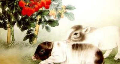 1992年出生的人生肖是什么从农历年份来看