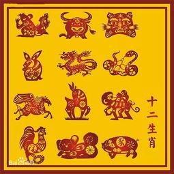 1992年属相：1992年属什么生肖