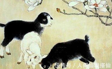 1979年2月10日下午15-17点出生性格、运势和命运