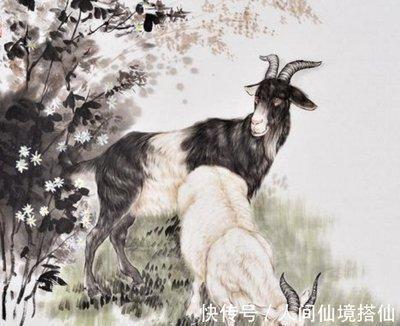 1979年2月10日下午15-17点出生性格、运势和命运
