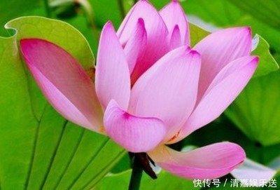 2002年12月23日下午13-15点出生性格、运势和命运