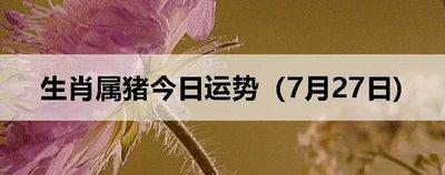 2025年3月爱情运极其顺利的生肖