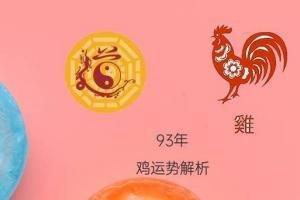 1993年属鸡人2025年运势及运程