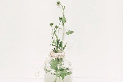 1993年属鸡的人2025年财运运势 1993年属鸡的人2025年财运运势