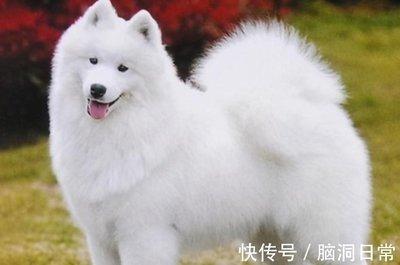 1994年属狗人2025年几月财运旺