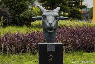 1995年10月28日晚上19-21点出生性格、运势和命运