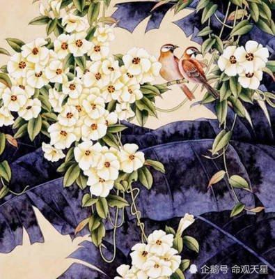 1995年11月22日下午13-15点出生性格、运势和命运