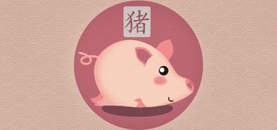 1995年出生的属猪男性格和婚姻状况解析大全