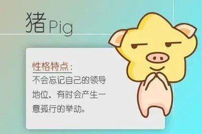 1979年9月28日晚上23-24点出生性格、运势和命运
