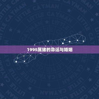 1995年属猪的男生婚姻如何你知吗