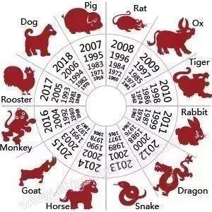 1995年属相：1995年属什么生肖