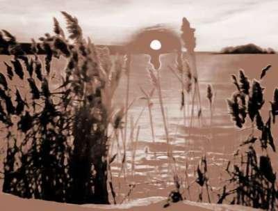 1996年10月10日晚上23-24点出生性格、运势和命运 1996年10月10日晚上23-24点出生性格、运势和命运