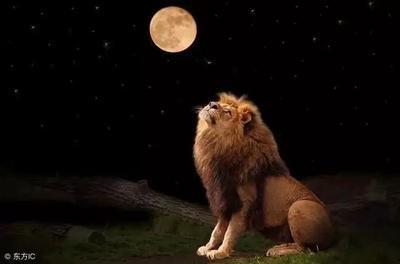 1977年8月12日晚上21-23点出生性格、运势和命运 1977年8月12日晚上21-23点出生性格、运势和命运