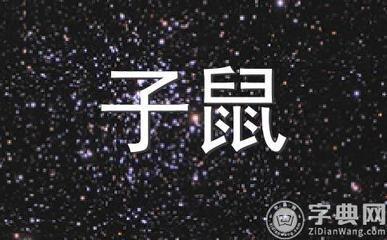1996年出生的子鼠在蛇年中需要注意哪些变化
