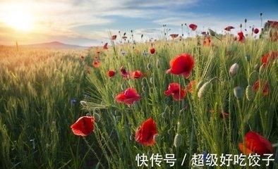 1980年10月28日上午9-11点出生性格、运势和命运