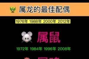 1996年属鼠的最佳配偶是你吗 宜配什么生肖