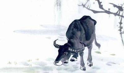 1997属牛男人多少岁结婚好 两个属牛的结婚不好
