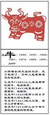 1997年10月14日晚上21-23点出生性格、运势和命运