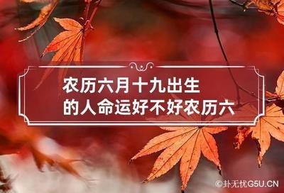 1980年11月25日晚上19-21点出生性格、运势和命运