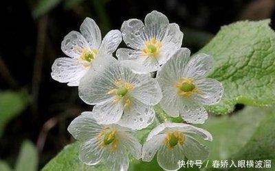 1977年属蛇的人2025年财运运势