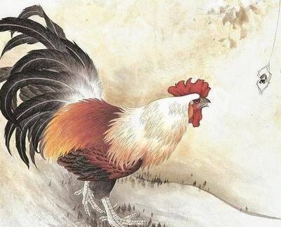 2025年生肖运势：1957年属鸡人事业运势