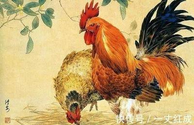 2025年生肖运势：1957年属鸡人健康运势