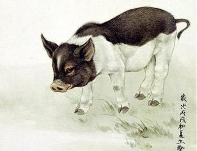 2025年生肖运势：1959年属猪人事业运势