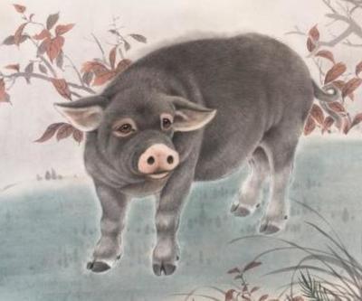 2025年生肖运势:1959年属猪人事业运势 2025年生肖运势:1959年属猪人事业运势