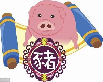 2025年生肖运势：1971年属猪人健康运势