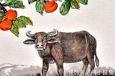 2025年生肖运势：1973年属牛人健康运势