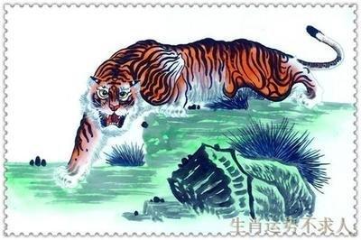 2025年生肖运势：1974年属虎人健康运势