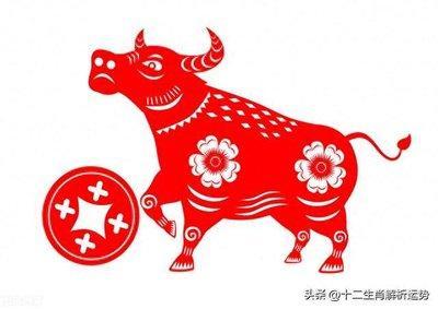 2025年生肖运势：1997年属牛人事业运势